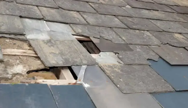 The Importance of Checking for Roof and Floor Damage