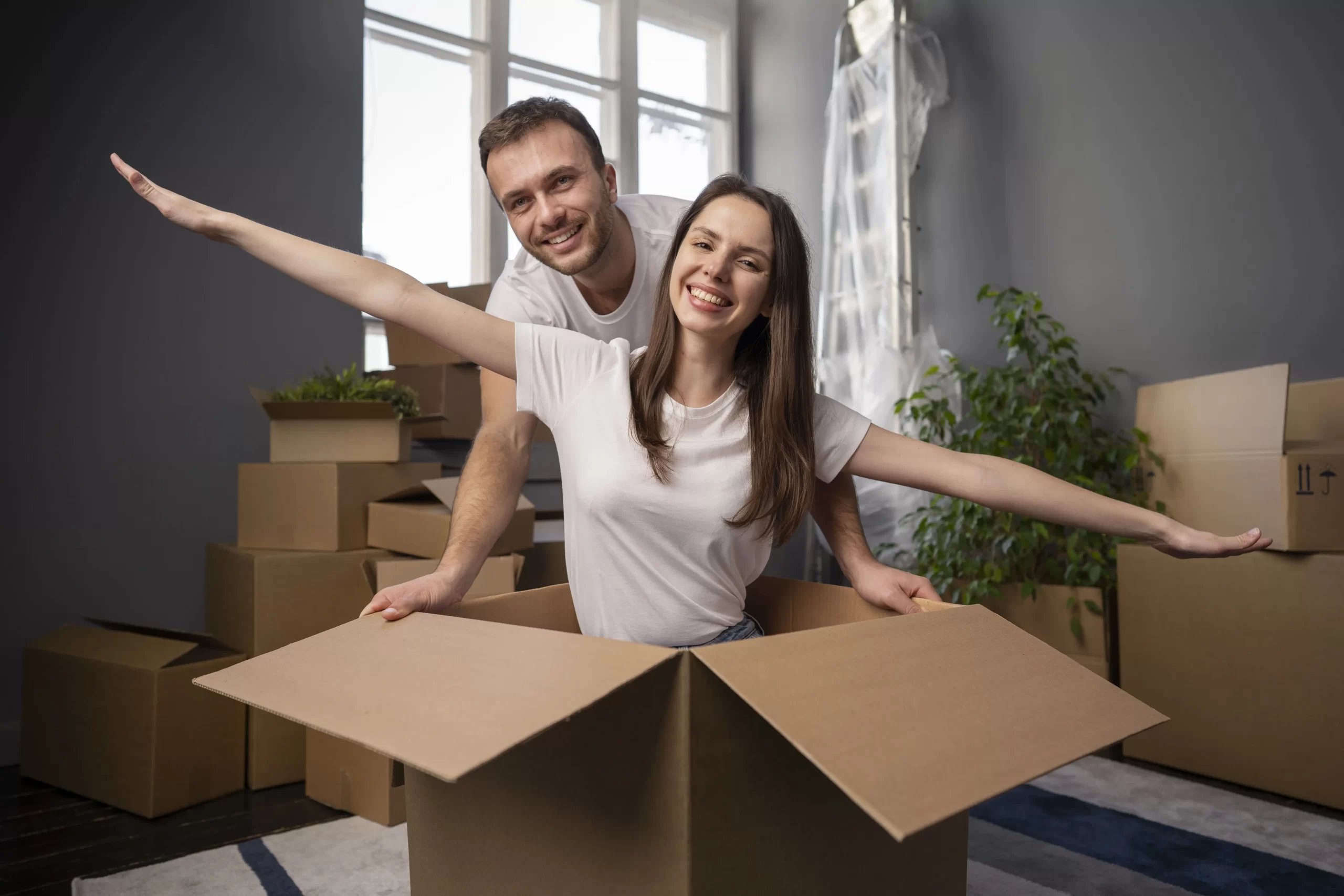 Interstate removalists