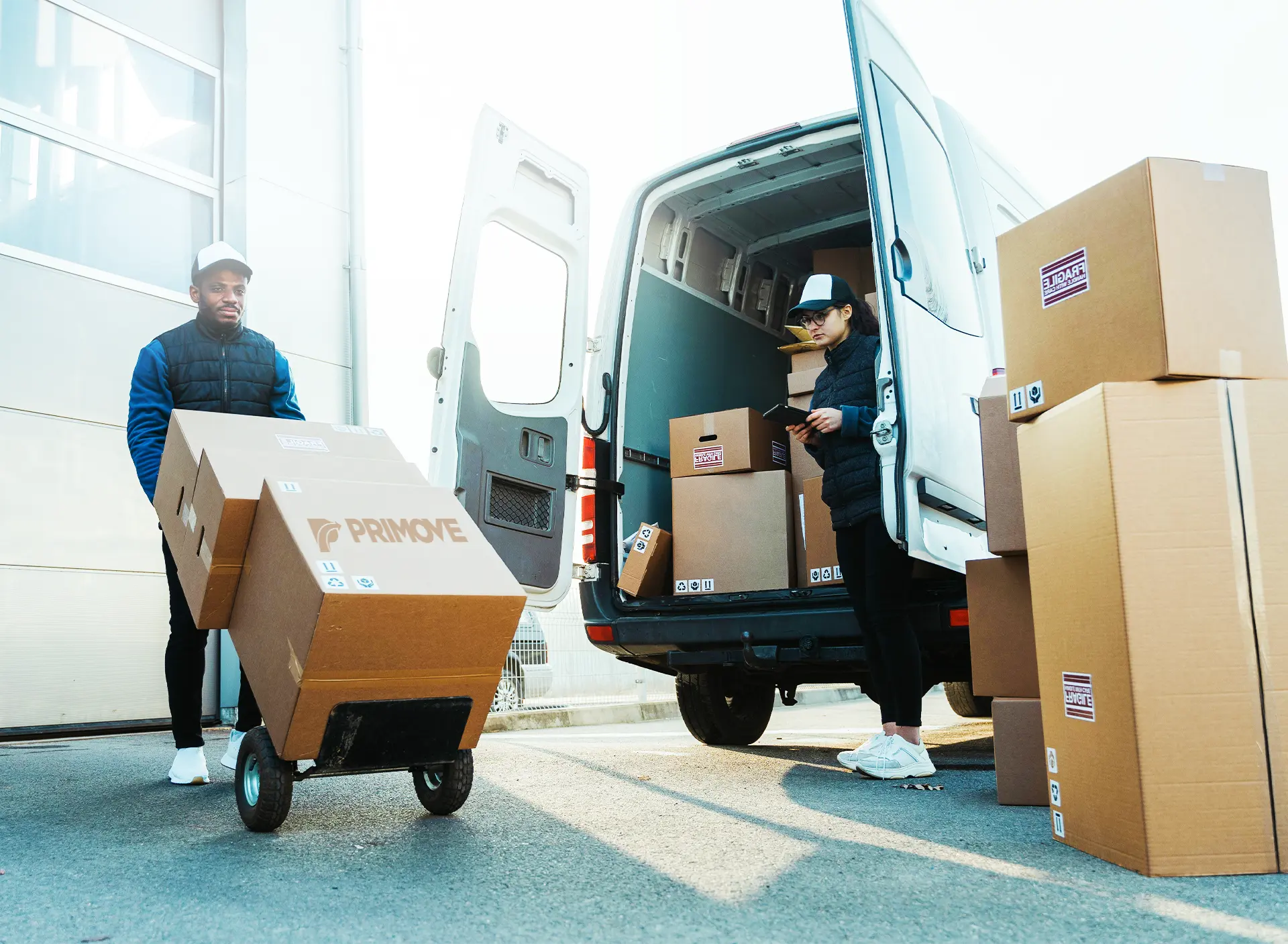 Work with Primove for Your Removals Services