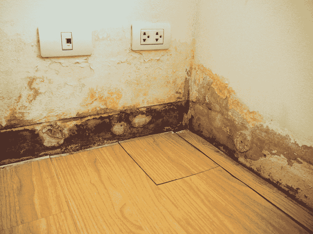 Assessing Floor Damage